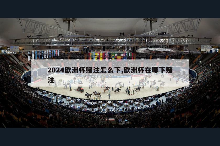 2024欧洲杯赌注怎么下,欧洲杯在哪下赌注