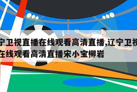 辽宁卫视直播在线观看高清直播,辽宁卫视直播在线观看高清直播宋小宝柳岩