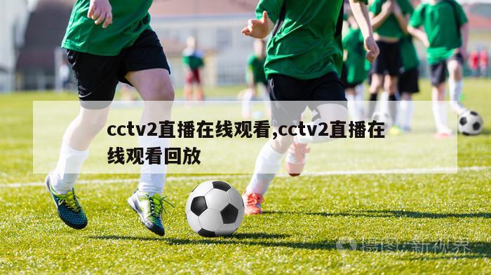 cctv2直播在线观看,cctv2直播在线观看回放