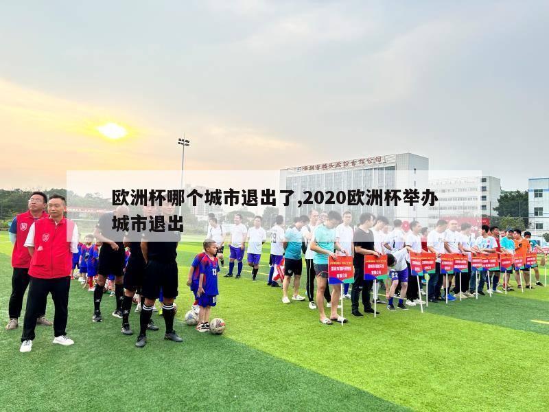 欧洲杯哪个城市退出了,2020欧洲杯举办城市退出