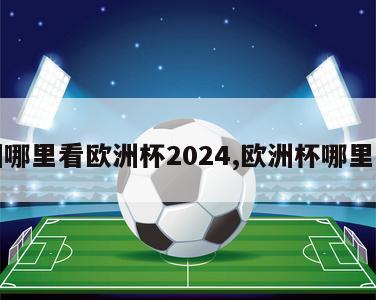 泉州哪里看欧洲杯2024,欧洲杯哪里去看