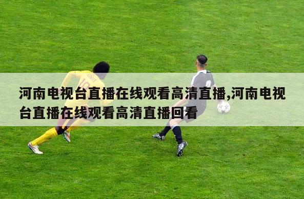 河南电视台直播在线观看高清直播,河南电视台直播在线观看高清直播回看