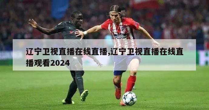 辽宁卫视直播在线直播,辽宁卫视直播在线直播观看2024